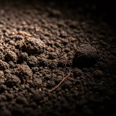 Imagen PNG para descargar